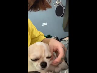 Hash swan ig live stream 190510