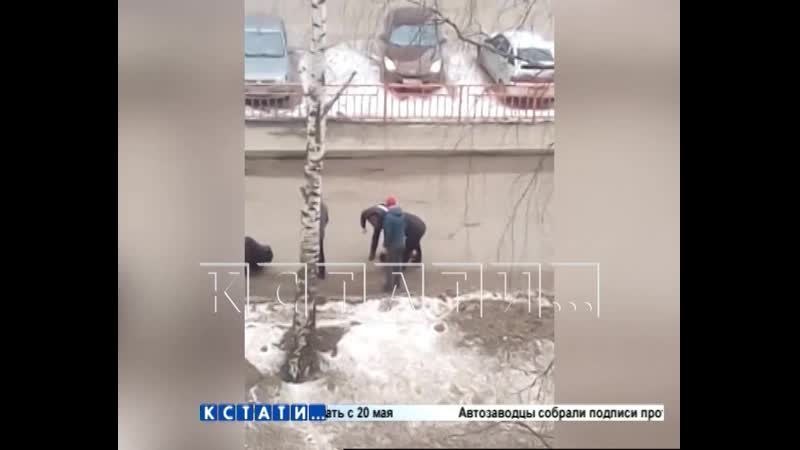 Голый молодой человек набросился на девушку на улице, а потом попытался уползти