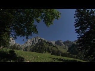 Wingsuit gliding thought the 'crack' gorge in switzerland