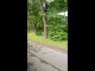 Vid 20170514 162015 mp4