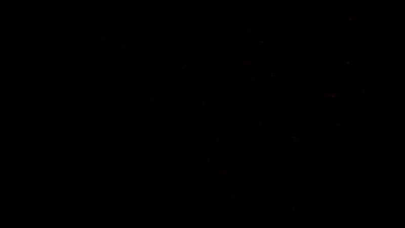 Член сводного брата случайно попал в киску сестры