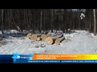 "черные лесорубы" за год вывезли из тайги за границу древесину на миллиарды рублей