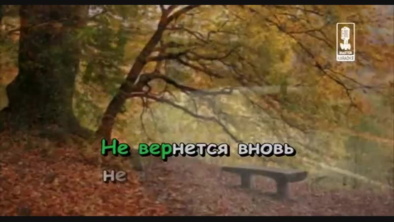 Там где клен шумит караоке