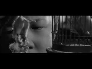 今村昌平 赤い殺意 [shohei imamura intentions of porn], 1964