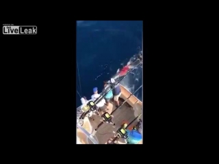 Суровая мексиканская рыбалка на акул с огнестрелом