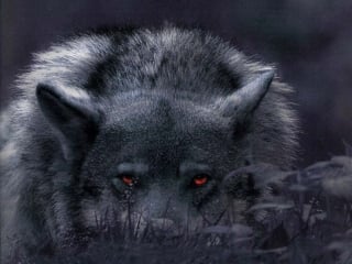 Live правый монитор