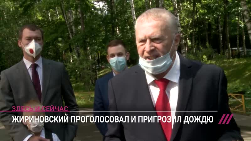 Жириновский о голосовании по попраам и дожде