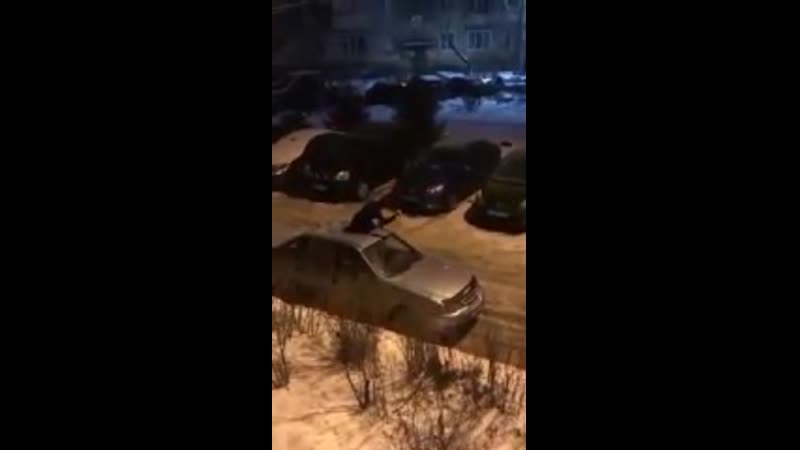 Подмосковные вечера (vhs video)