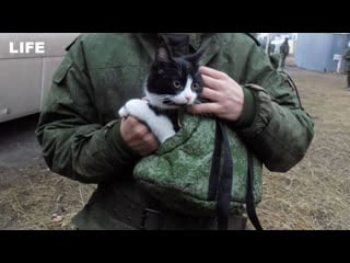 Life передал военную форму "мобилизованному" котику с позывным кися