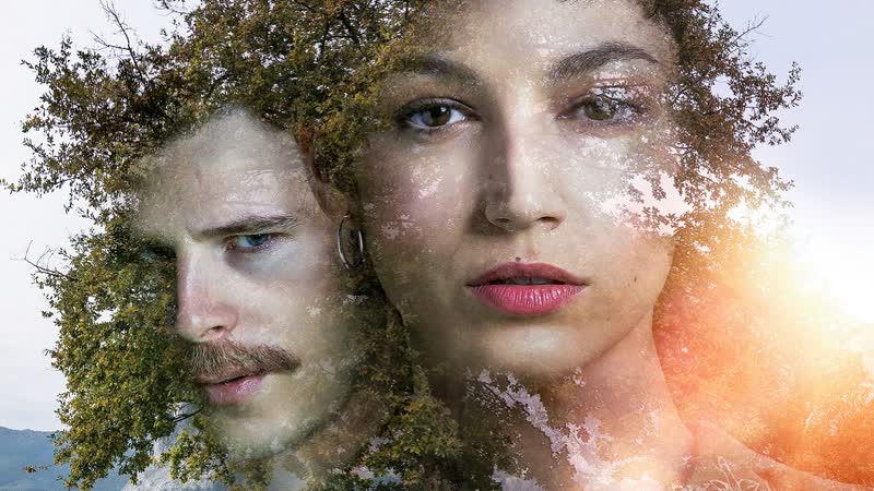 Молодые дерево / el árbol de la sangre (2018)