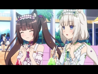 Nekopara ova / nekopara / некопара / кошачий рай ова bd [озвучка cleo chan, hekomi, silv & sharon (anilibria mvo)]