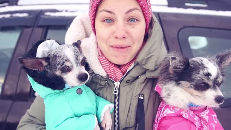 Мой день | молодые, щенки, кошки, другие секс | каникулы у бабушки