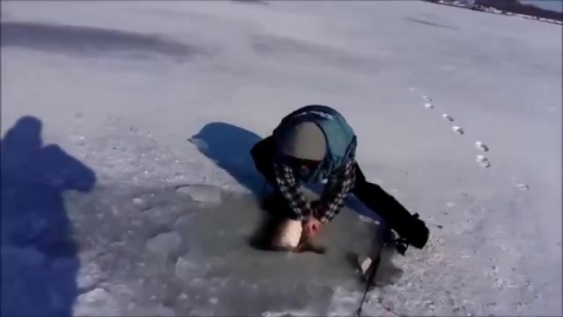 Видео от miscellaneous videos
