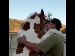 Insta horse club 20200907 1 mp4