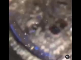 💣 lil baby и dababy появятся на ремиксе платинового трека «life is good» от future и drake