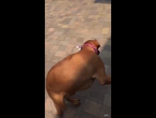 Снэпчат арианы #2