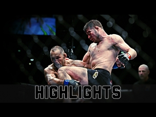 Michael bisping vs dan henderson 2 ● fight highlights ● hd