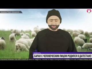 Баран с человеческим лицом! интервью овцевода