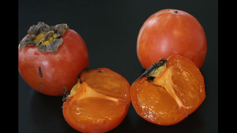 Долголетие ссылка в описании