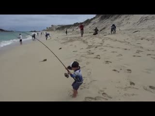 3 year old catching 6kg salmon from the beach mp4