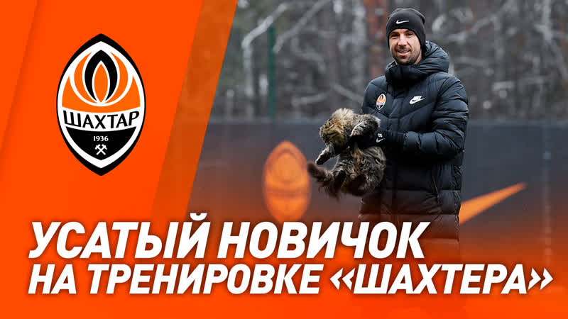 Неожиданный гость на тренирое шахтера | подготоа к дерби с олимпиком