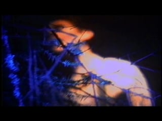 The smashing pumpkins – cherub rock