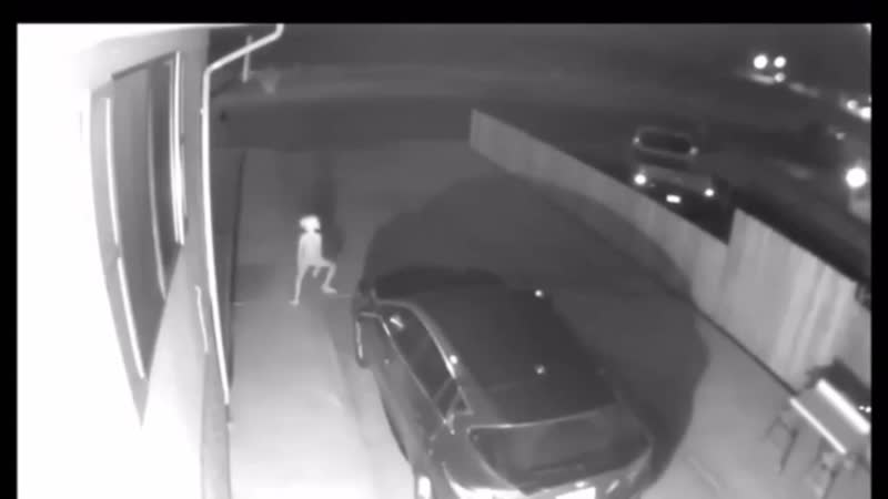 Доби существует