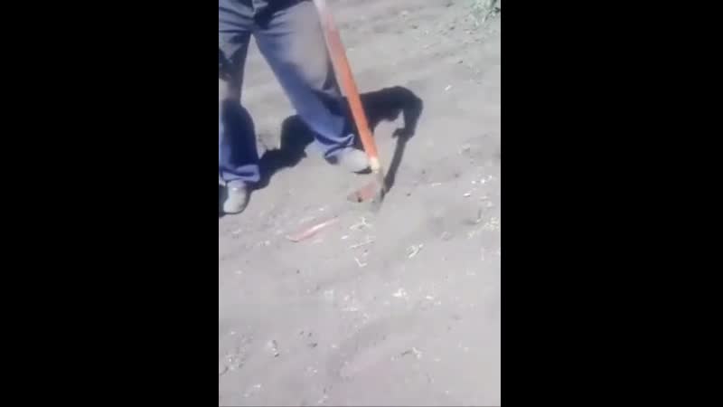 Дачная разработка