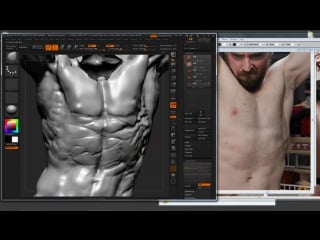 Steve lord «forming the rectus abdominus muscles» (part 31/82)