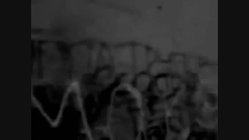 Труппа трупов тарчок