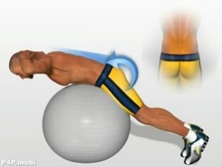 Exercises lower back muscles extension lumbar muscle ( female male )