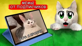 лПММЕЛГЙС БОЕЛДПФПЧ, ХДПЧМЕФЧПТЙФЕМШОБС No 2