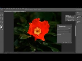 Adobe photoshop cs6 türkçe adjustments paneli