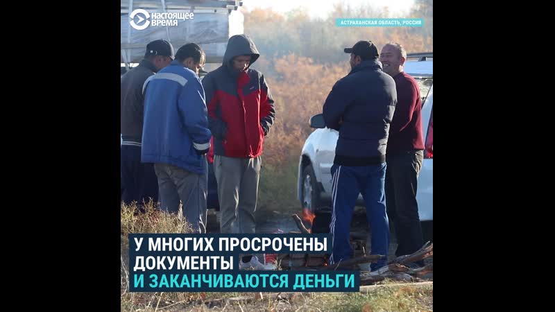 Около 200 узбекистанцев застряли на границе россии