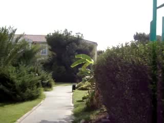 Турция сиде majesty palm beach 22