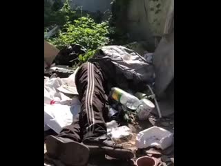 День зарплаты опп