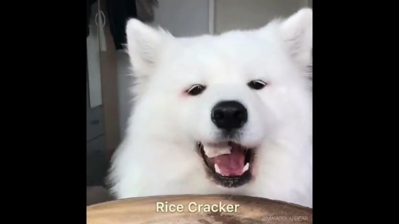 Затестил (vhs video)