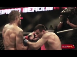 Fabricio "vai cavalo" werdum