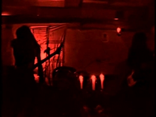 Hagl beyond the ground live in wolf refuge (2004 2008)