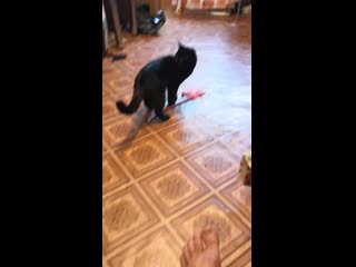 Vid 20190818 103100 mp4