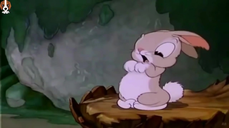 Disney silly symphony cartoon classic cartoon for porn