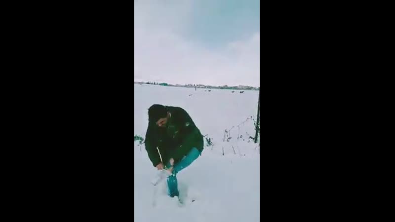 Nasrallah harmoush on snow