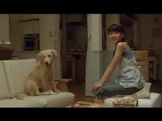 10 обещаний моей собаке inu to watashi no 10 no yakusoku (2008)