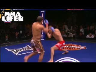 Нокаутирующие колени жозе альдо