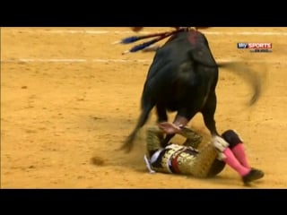 Toros desde san sebastián semana grande toros de fuente ymbro para diego urdiales, paco ureña y joselito adame 2016 08 13 13