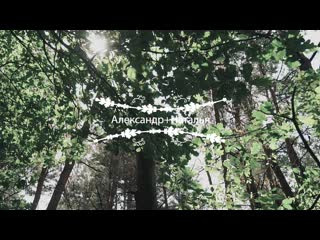 Summer day @cinematography vasili lev 🎥