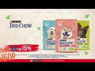 Dog chow beru