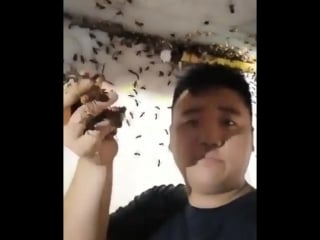 Man grabs handful of wasps with bare hands