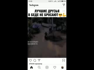 Лучшие друзья в беде не бросят! 🔥💪