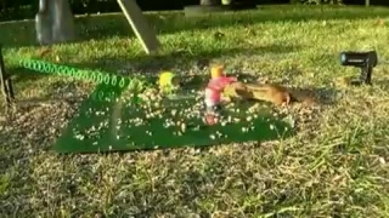 Я со своим другом идиотом